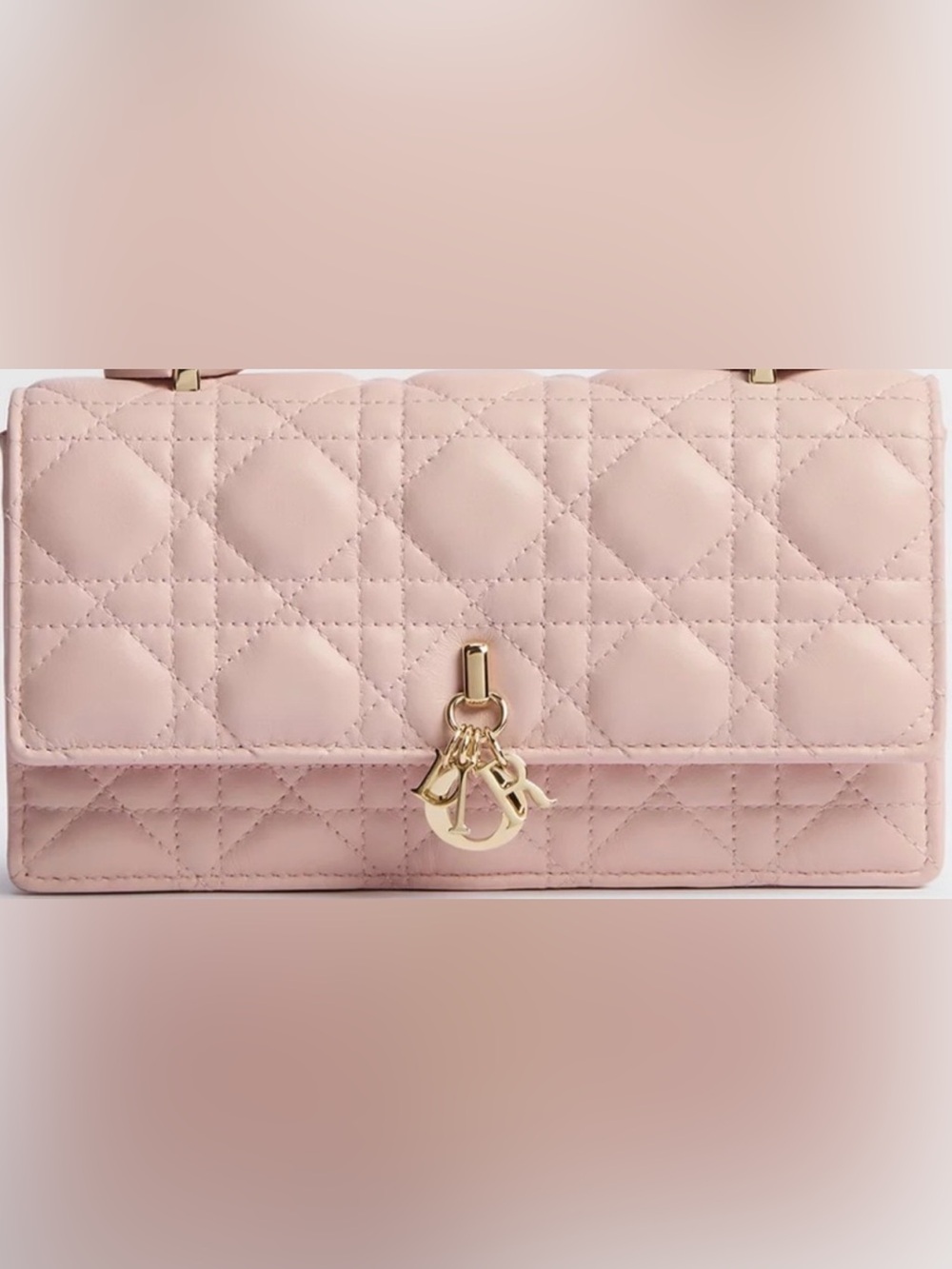 Dior Powder Pink Cannage Lambskin Bag -NWT/FULL INCLUSION. TAKING OFFERS! ⬇️